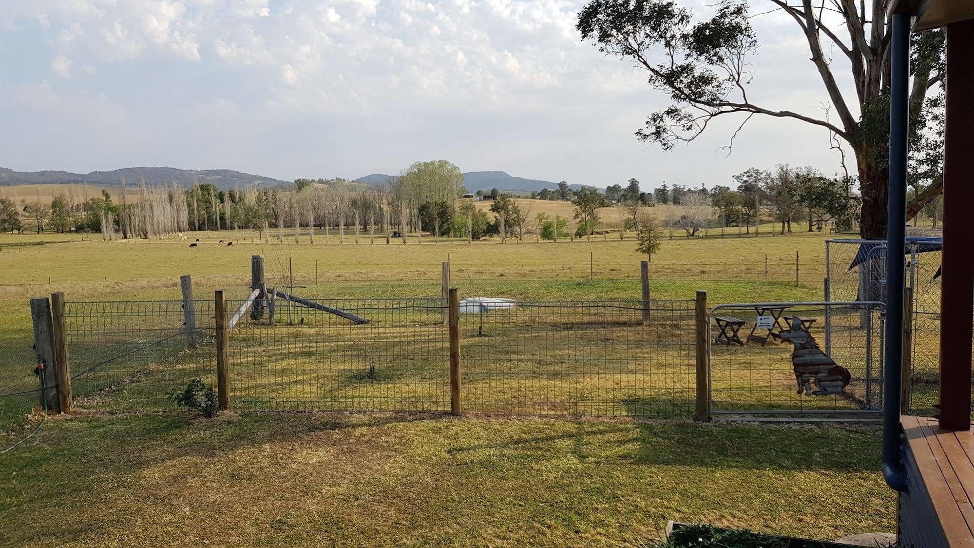 The Wattle Lodge Glendon Brook Exterior photo